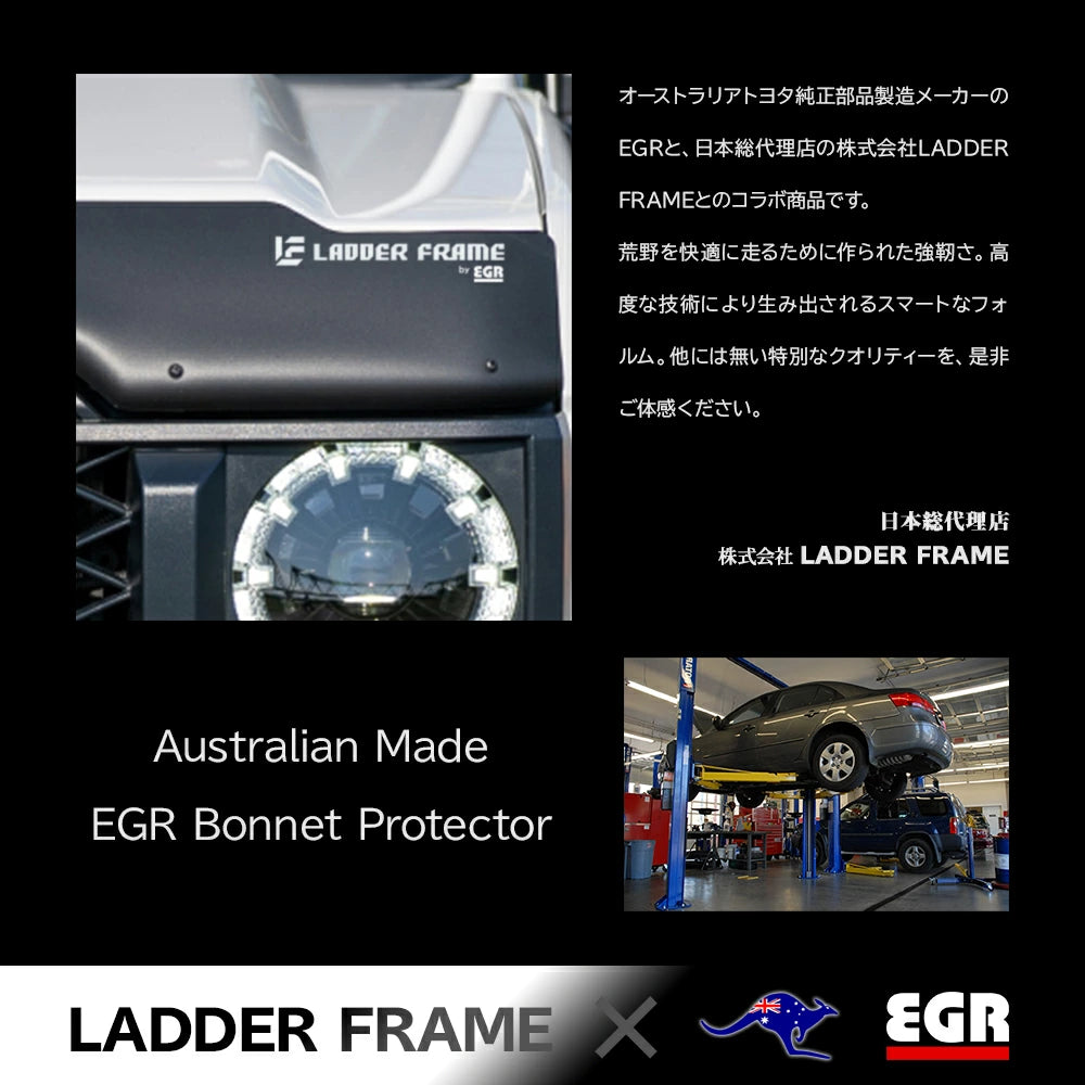 現行ランドクルーザー70(GDJ70)用　EGRバグガード