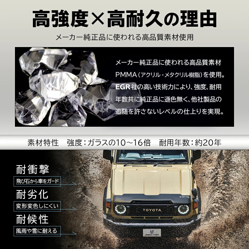 現行ランドクルーザー70(GDJ70)用　EGRバグガード